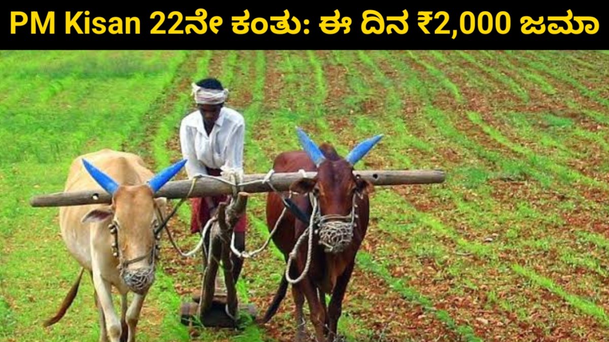 PM Kisan 22nd Installment Alert:ಈ ದಿನ ನಿಮ್ಮ ಖಾತೆಗೆ ಜಮಾ ಆಗಲಿದೆ PM Kisan 22ನೇ ಕಂತಿನ 2,000 ರೂ.! Amount, Release Date and Beneficiary List Out Today
