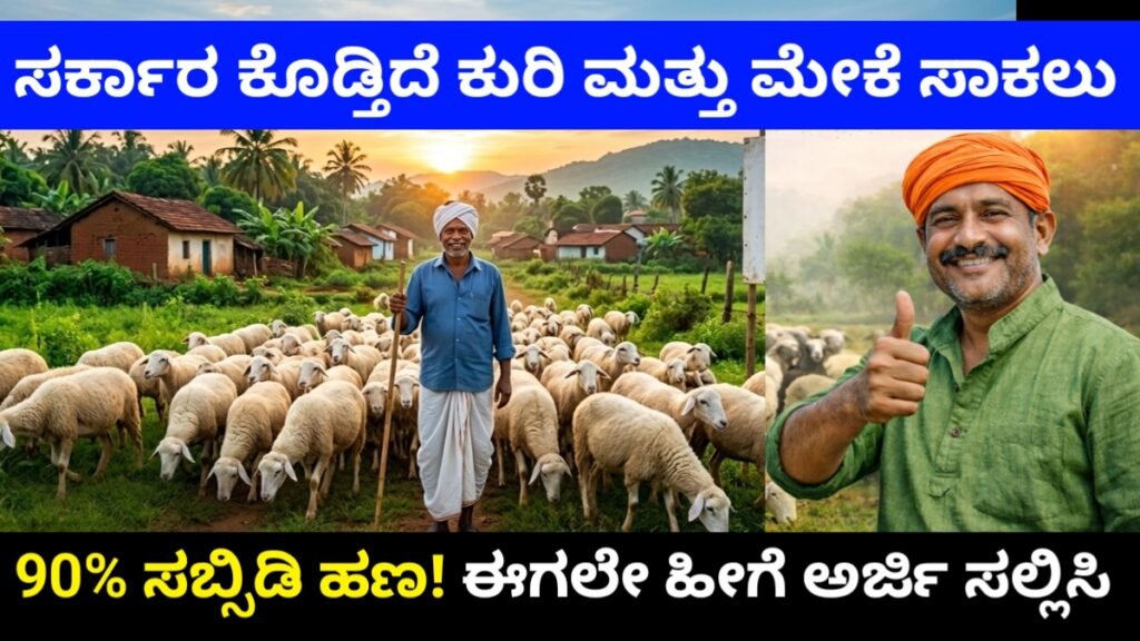ಕುರಿ ಮತ್ತು ಮೇಕೆ ಸಾಕಾಣಿಕೆಗೆ ಸಿಗುತ್ತಿದೆ 90% ಸಬ್ಸಿಡಿ ಅರ್ಜಿ ಸಲ್ಲಿಸುವ ಸಂಪೂರ್ಣ ವಿವರ ಇಲ್ಲಿದೆ | amrutha swabhimani sheep farming scheme 2026 Free