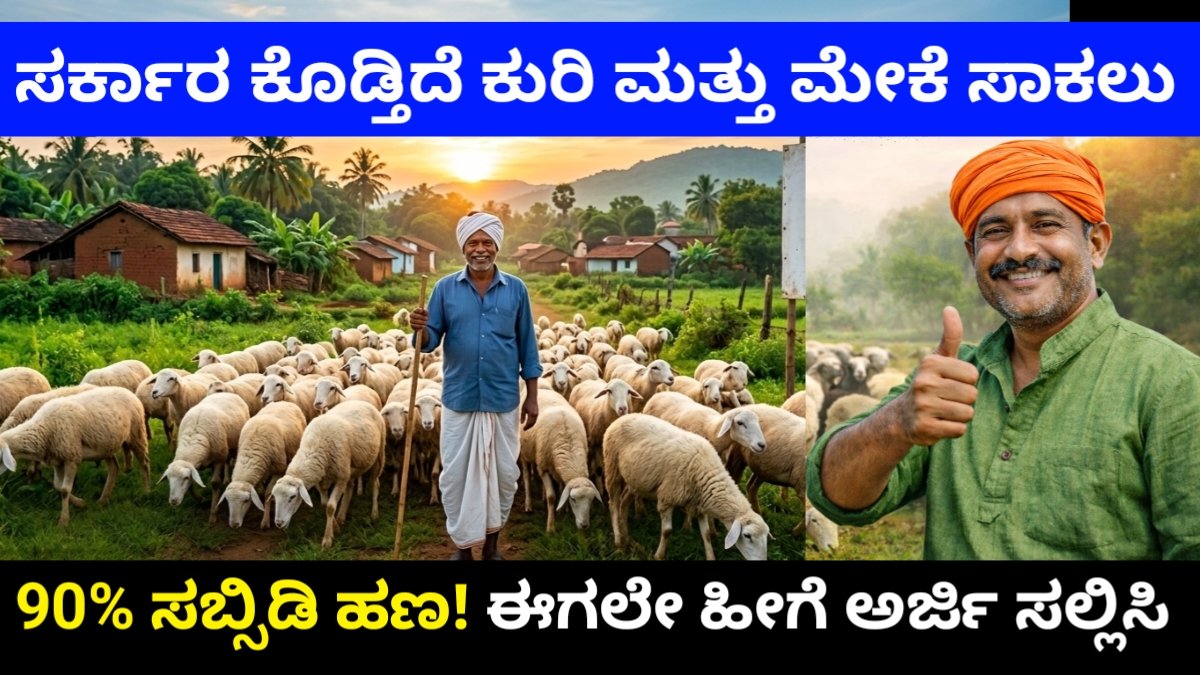 ಕುರಿ ಮತ್ತು ಮೇಕೆ ಸಾಕಾಣಿಕೆಗೆ ಸಿಗುತ್ತಿದೆ 90% ಸಬ್ಸಿಡಿ ಅರ್ಜಿ ಸಲ್ಲಿಸುವ ಸಂಪೂರ್ಣ ವಿವರ ಇಲ್ಲಿದೆ | amrutha swabhimani sheep farming scheme 2026 Free