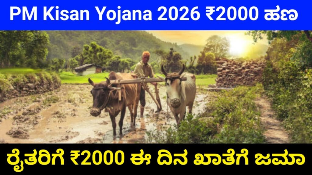 PM Kisan 22ನೇ ಕಂತು ₹2000 ಹಣ ಬಿಡುಗಡೆ ದಿನಾಂಕ ಫಿಕ್ಸ್: ಈ ದಿನ ರೈತರ ಖಾತೆಗೆ ಜಮಾ! | ಈ ತಪ್ಪು ಮಾಡಿದ್ರೆ ಪೈಸೆಯೂ ಸಿಗೋದಿಲ್ಲ! ಈ ಕೆಲಸ ಮಾಡದಿದ್ದರೆ ಹಣ ಸಿಗಲ್ಲ pm kisan 22 installment Release Date fix